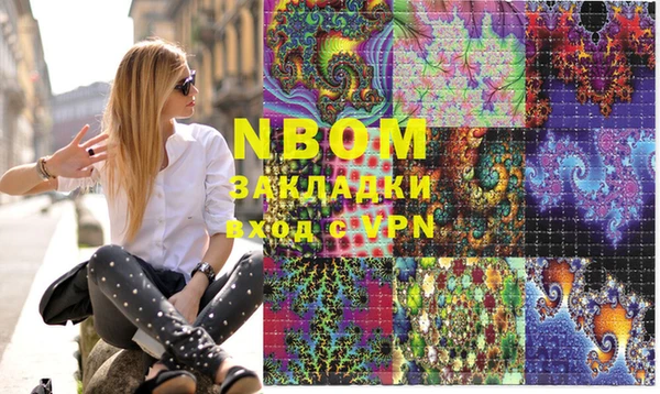 сатива Каменка