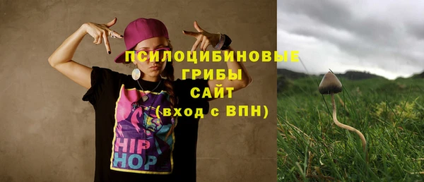 скорость Каменногорск