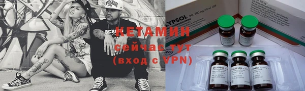 сатива Каменка