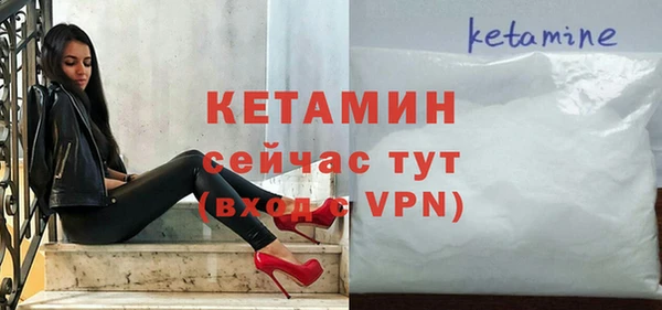 сатива Каменка