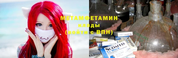 сатива Каменка
