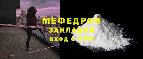 сатива Каменка