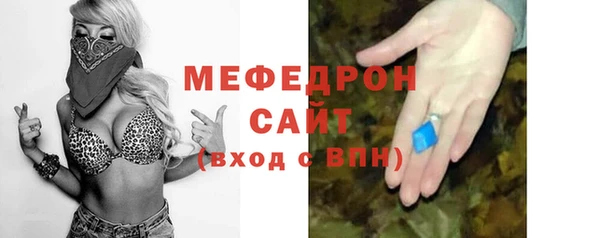 сатива Каменка