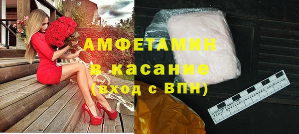 сатива Каменка