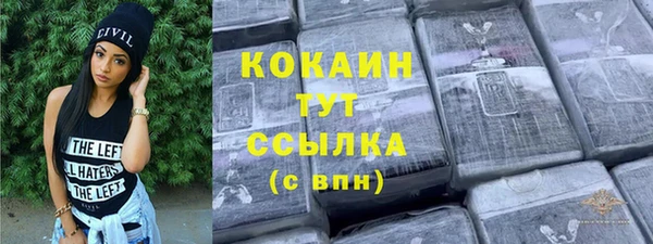 сатива Каменка