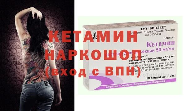 сатива Каменка