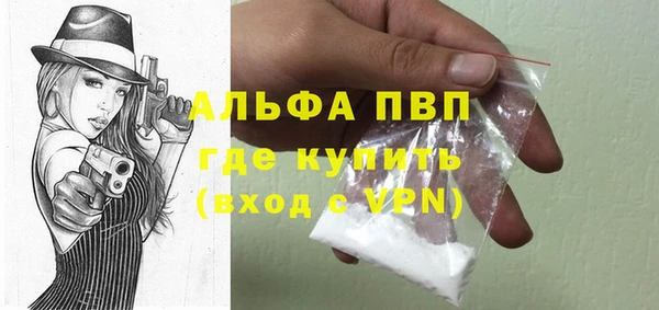 сатива Каменка