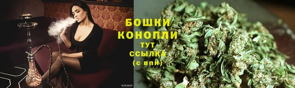 сатива Каменка