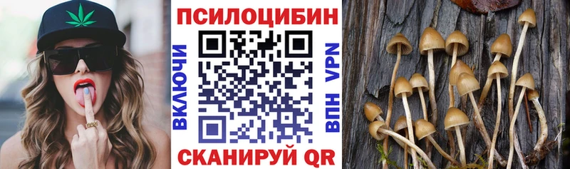 Галлюциногенные грибы прущие грибы  Купить закладки  Хотьково 